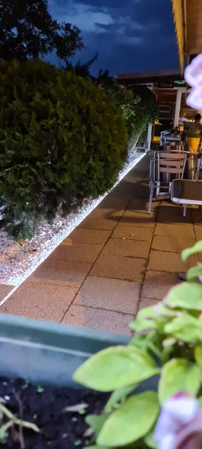 Pensiunea Zodiac Timisoara Exterior foto