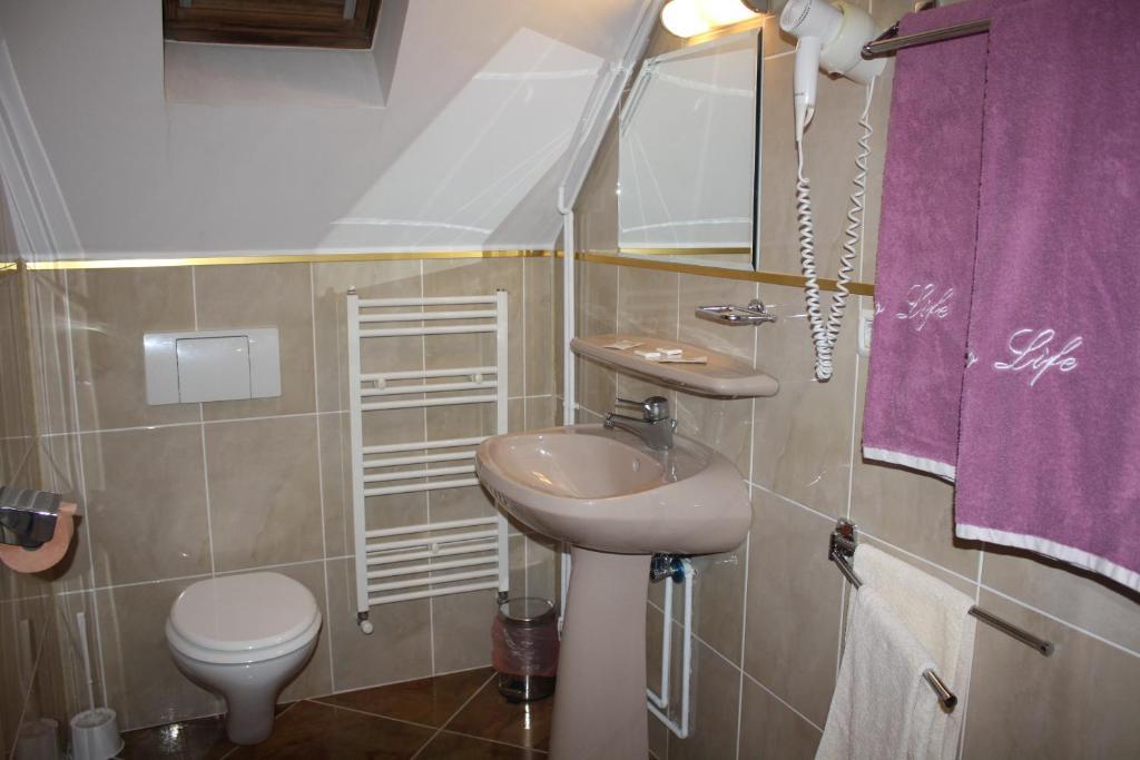 Pensiunea Zodiac Timisoara Habitación foto
